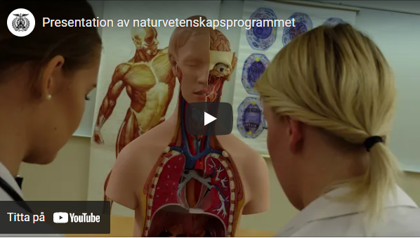 Youtube video: Presentation av naturvetenskapsprogrammet