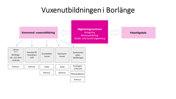 Skiss över hur vuxenutbildningen i Borlänge är organiserad. 